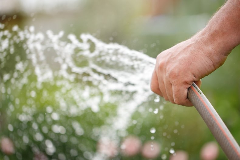A man watering plants