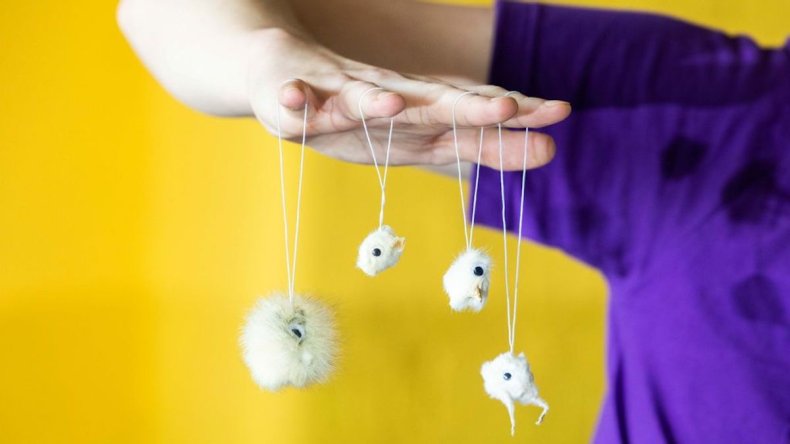 Hairy Dangler rearview mirror decorations