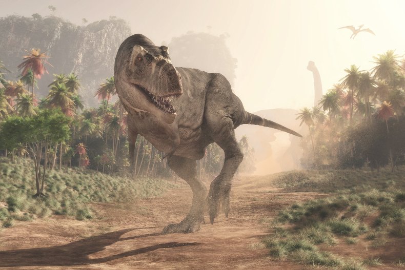 Artist's illustration of Tyrannosaurus rex