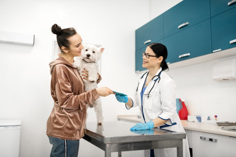 Veterinarian with client
