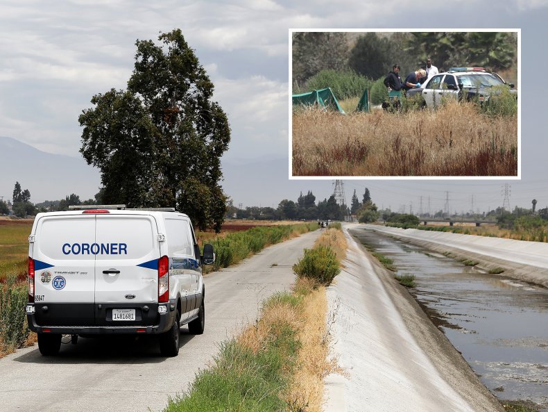 Lightning Strike Kills Dog Walker