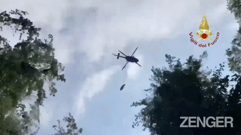 Cow airlifted to safety in Italy