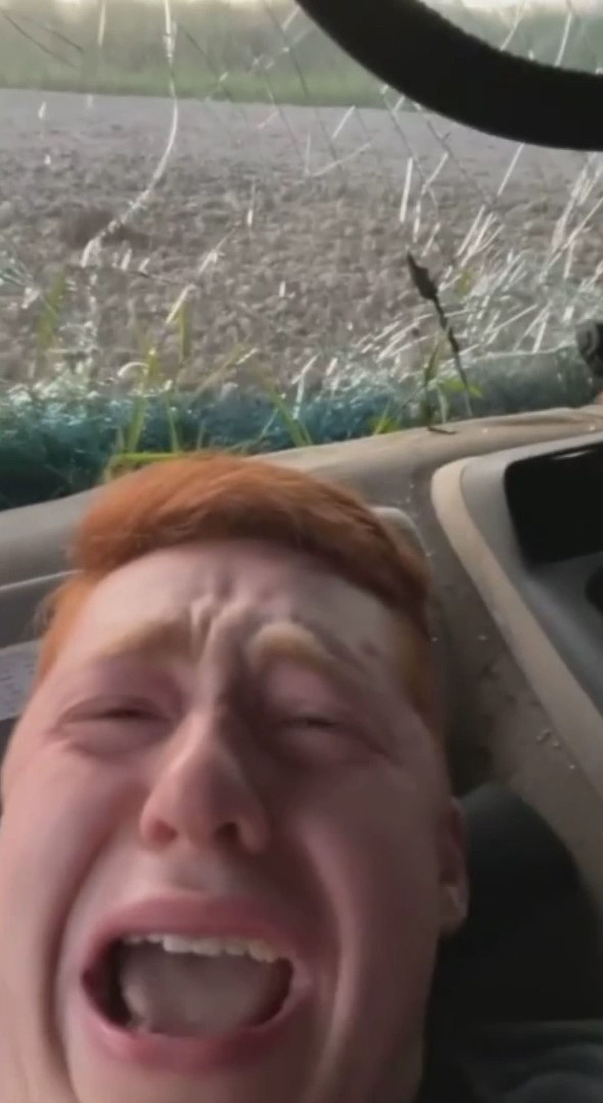 Driver's Sobbing TikTok Video After Car Crash Baffles Internet