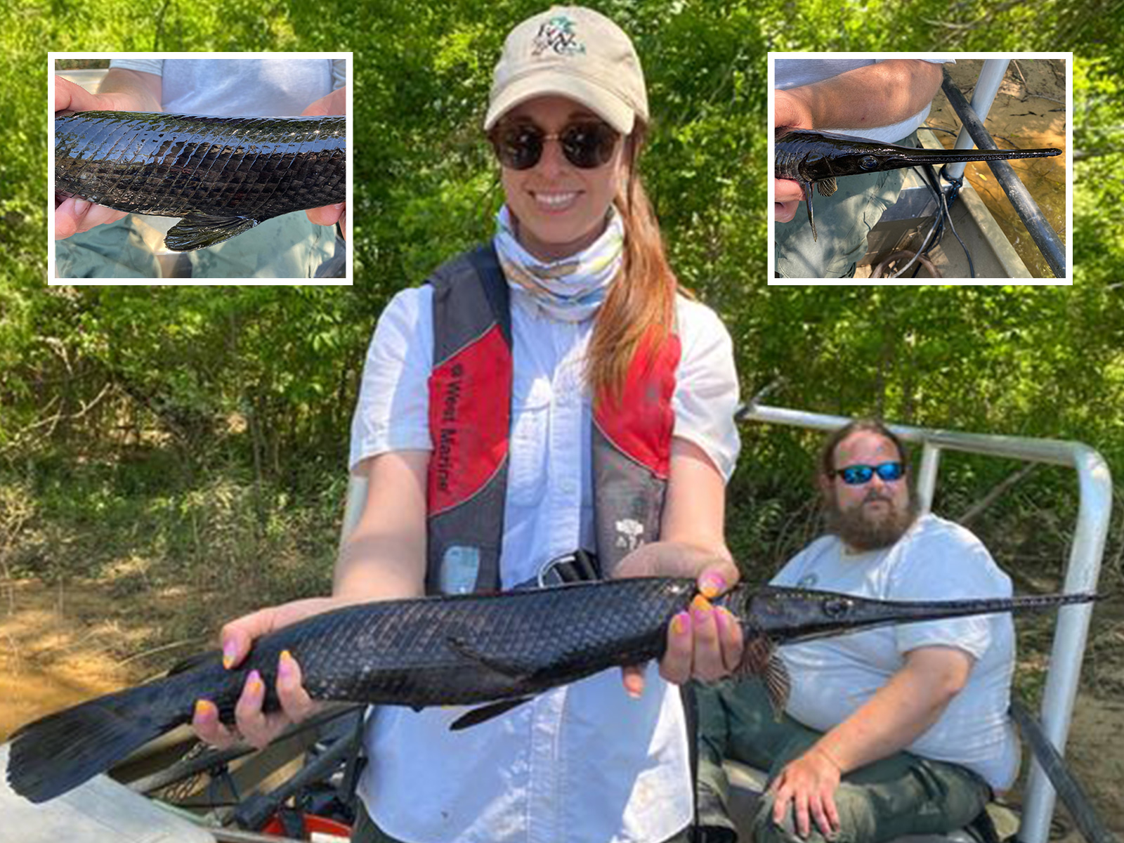 Prehistoric Jet Black River Creature With Very Sharp Teeth Found in Florida Prehistoric Jet Black River Creature With Very Sharp Teeth Found in Florida