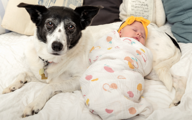 A sad dog and a baby.