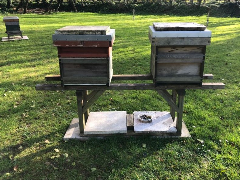 Beehives in Cornwall