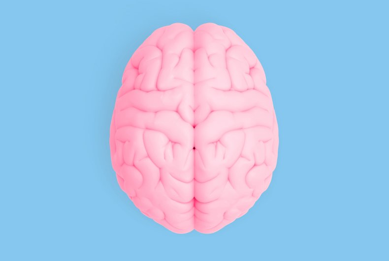 A human brain