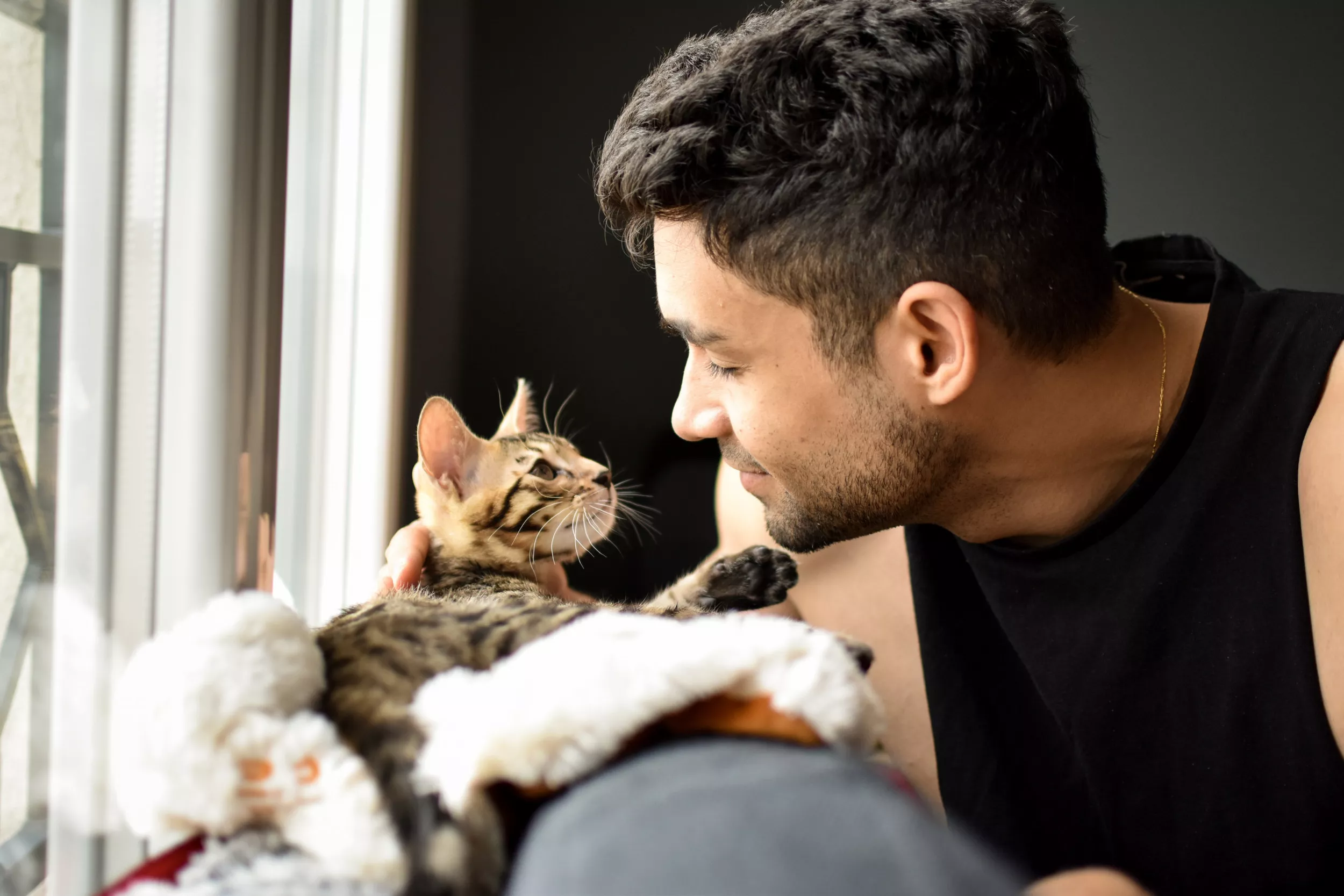 Man Backed for Adopting a Kitten, Despite Roommate Being Allergic - Vimarsana News