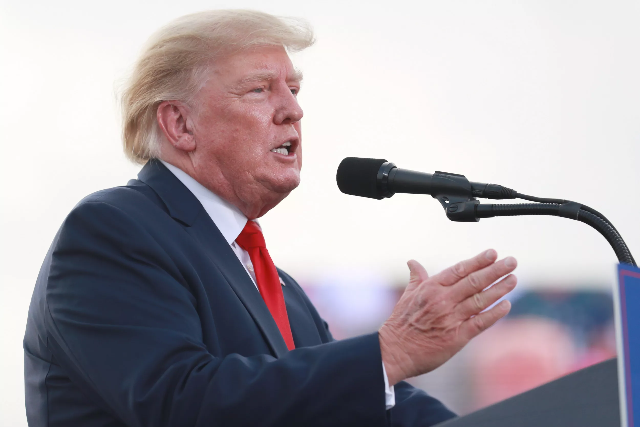 Donald Trump Backs Surefire Primary Candidates in Bid to Boost Success Rate - Vimarsana News