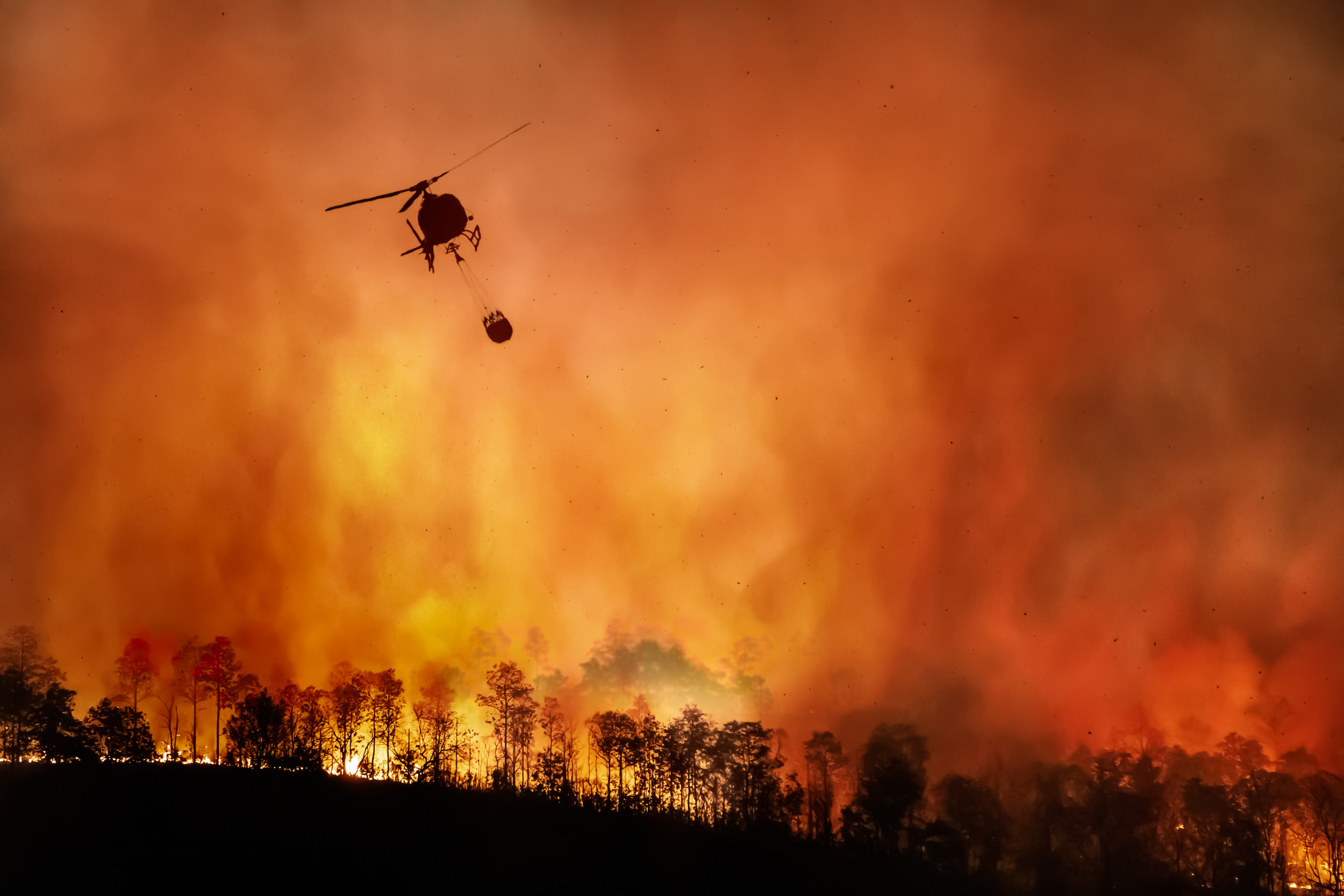 U.S. A Giant Tinderbox as Megadrought and Wildfires Combine