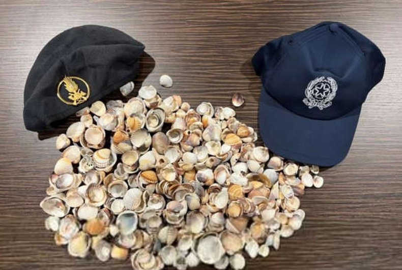 Shells and stones seized at Italian airport