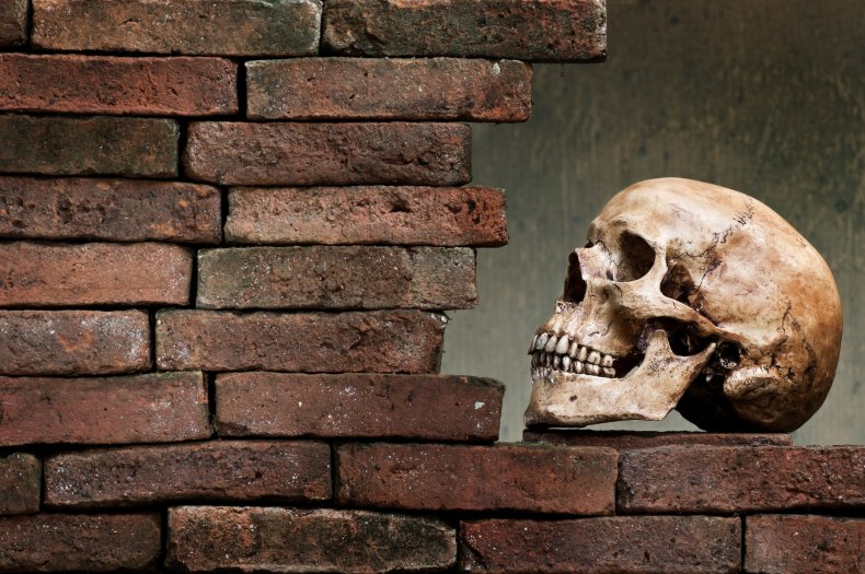 Homeowner finds fake skeleton in wall