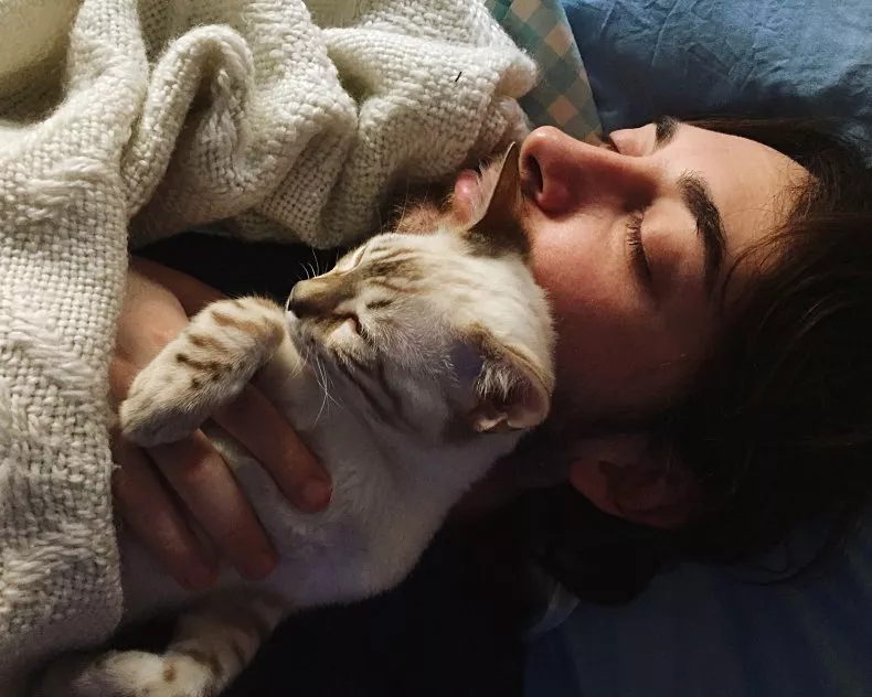 Cat Insists on Sleeping in Bed With Owner