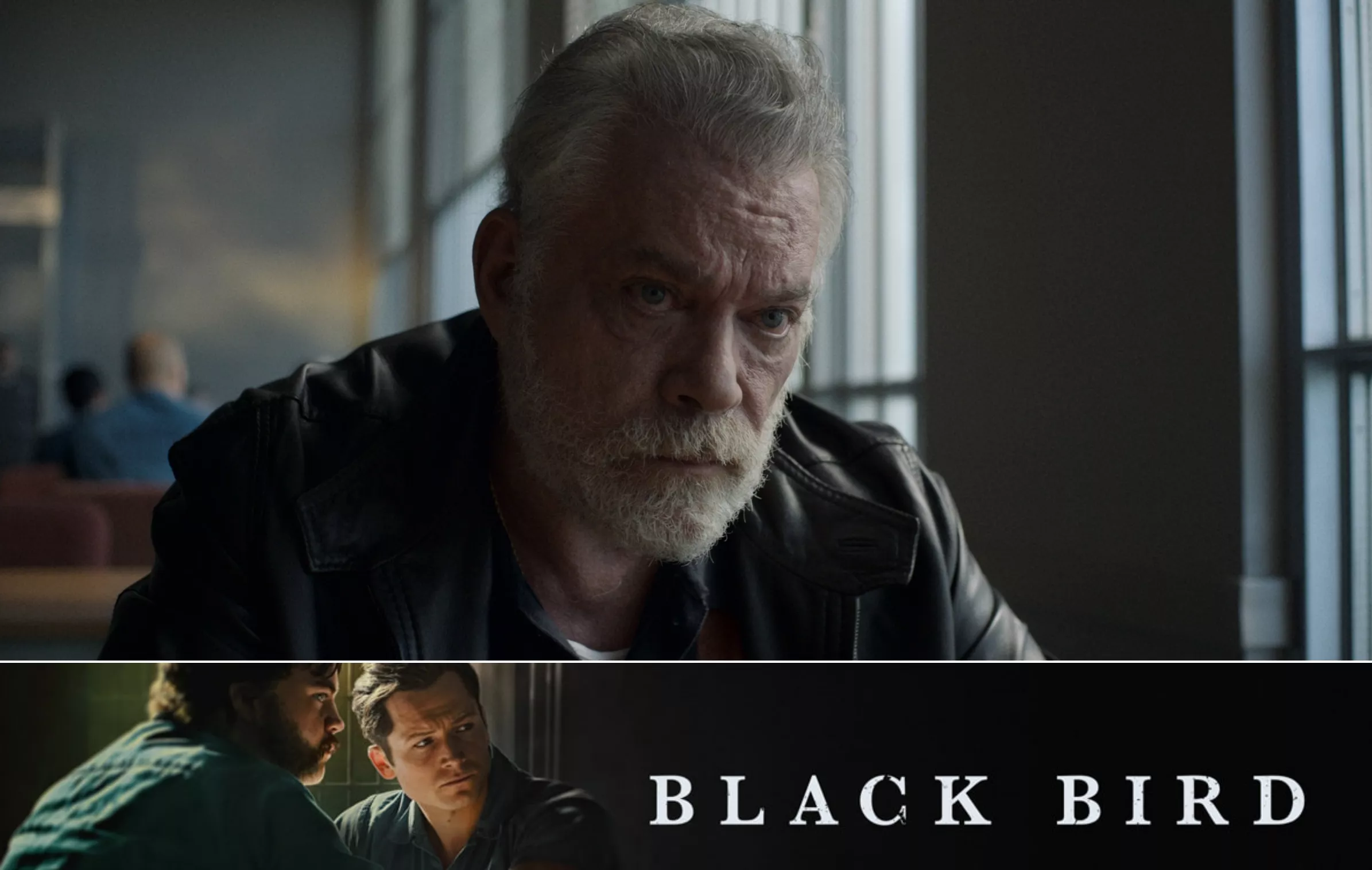 Ray Liotta Was 'Over the Moon' With His Final TV Project 'Black Bird' - Vimarsana News