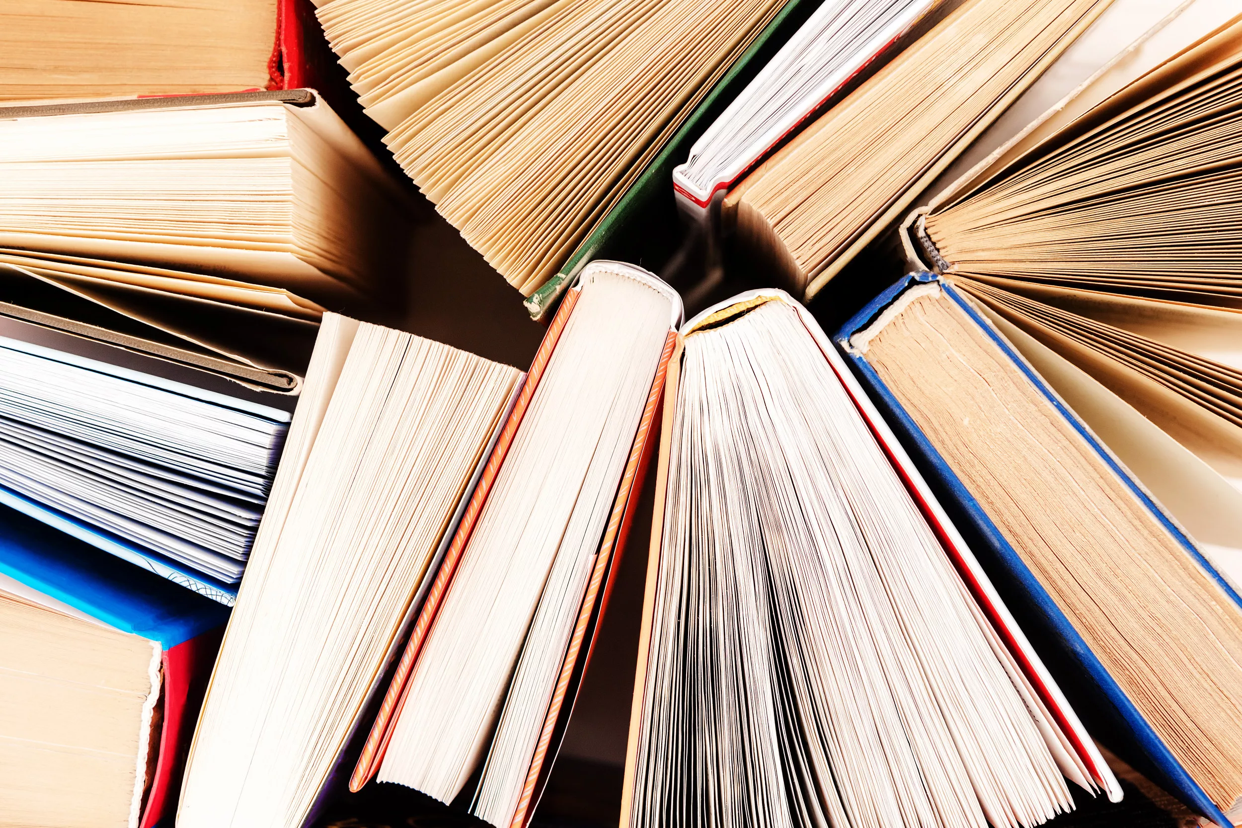 Homemade Community Library Trashed With Chili and Cat Food Shocks Internet - Vimarsana News