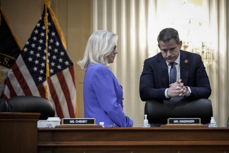 Cheny and Kinzinger