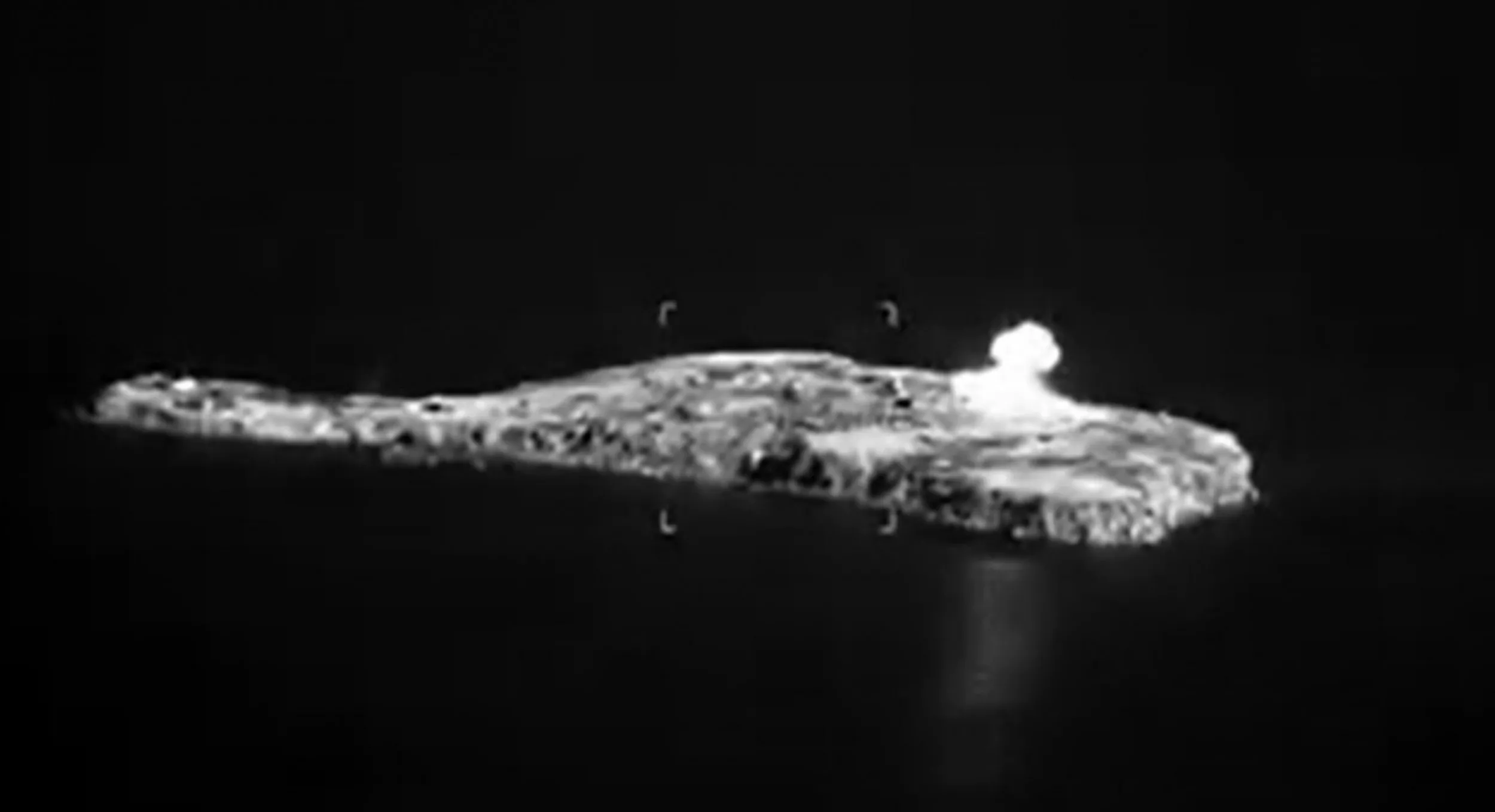 Ukraine Accuses Russia of Striking Snake Island With Phosphorus Bombs - Vimarsana News