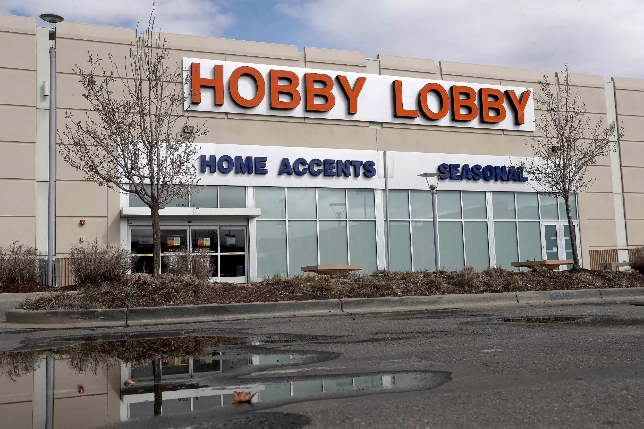 Lawsuit Alleges Hobby Lobby Fired Clerk With PTSD Over Service Dog - Vimarsana News