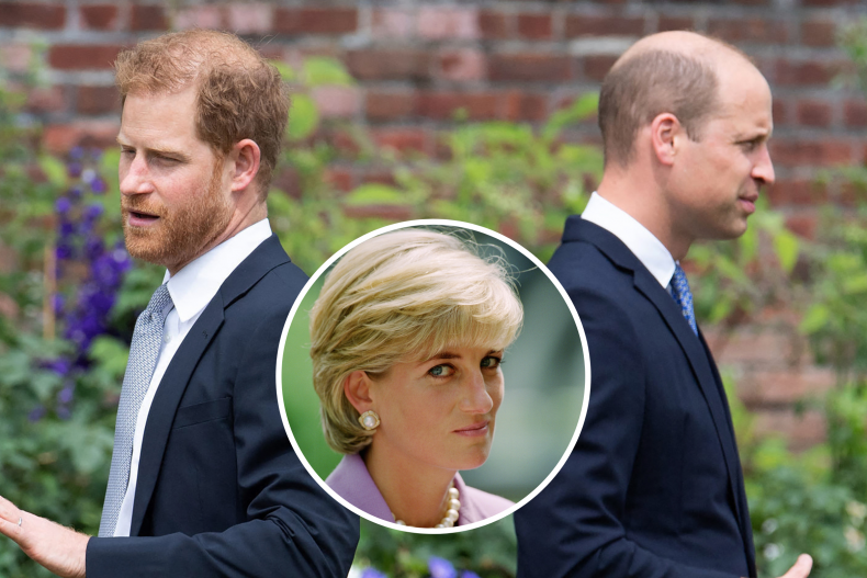 Prince William, Harry Diana Charity Hate Comments
