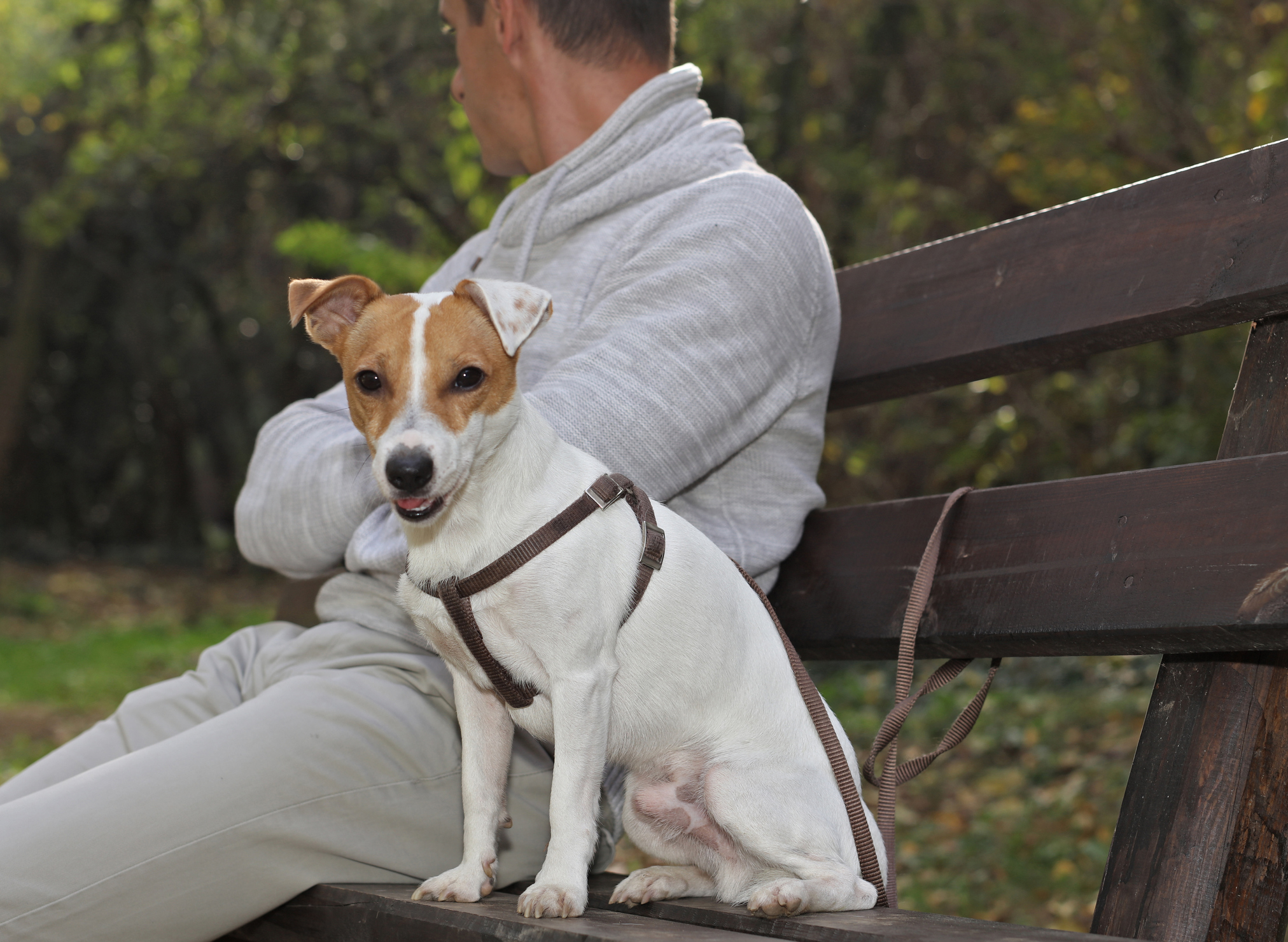 Internet Backs Man Threatening to Ditch Family Over Dog He Didn’t Want