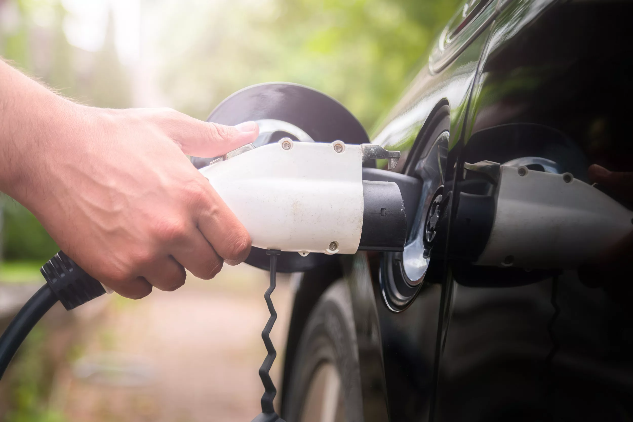 What Are The Most Eco-Friendly Cars in 2022? - Vimarsana News