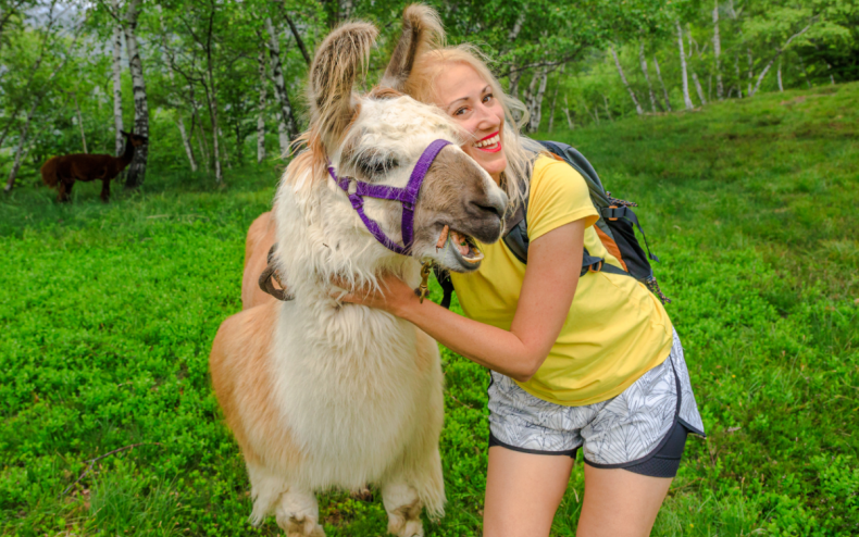 A woman and an alpaca.