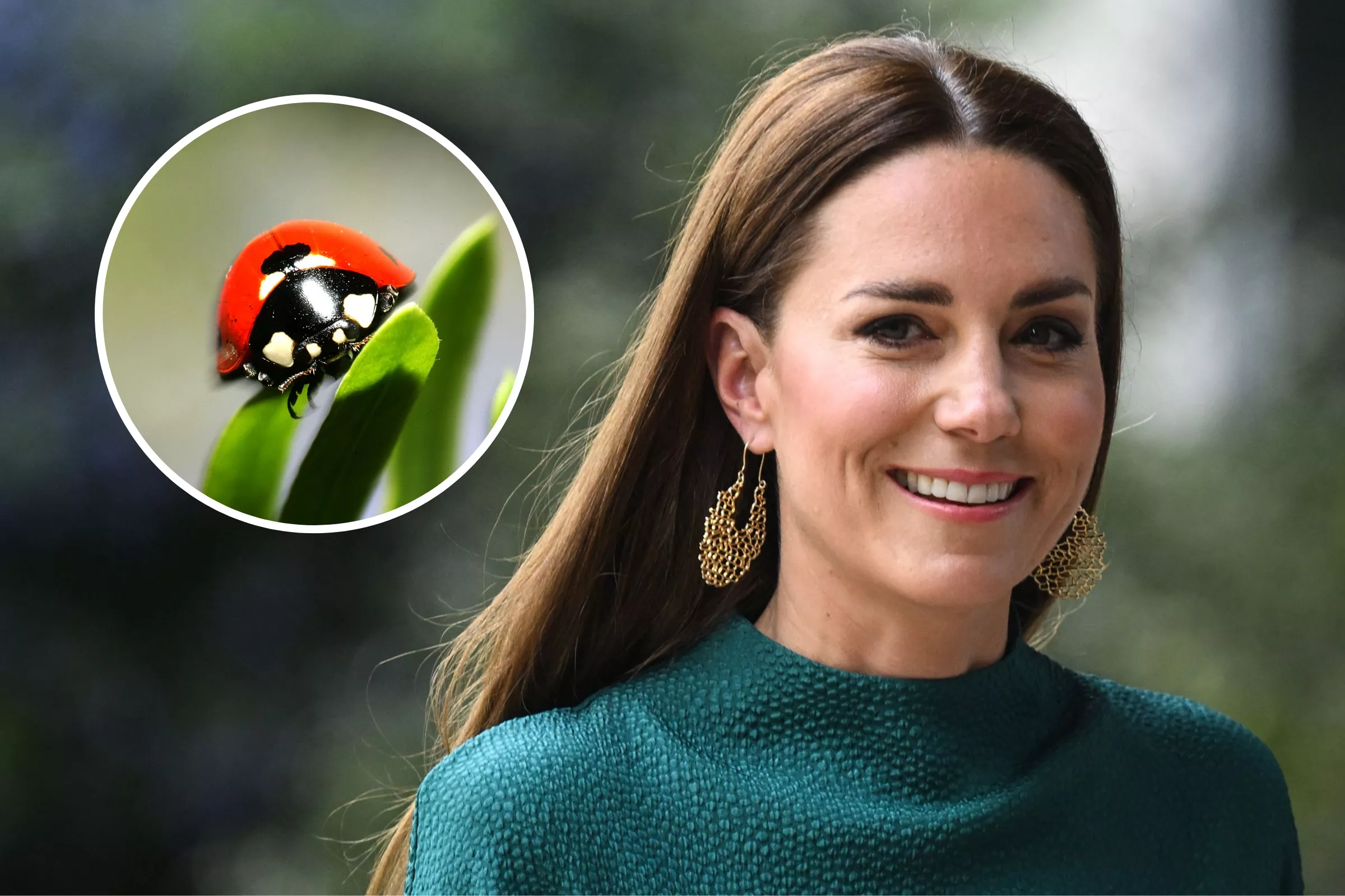 Kate Middleton's Magazine Photographic Debut Contains Hidden Easter Egg - Vimarsana News
