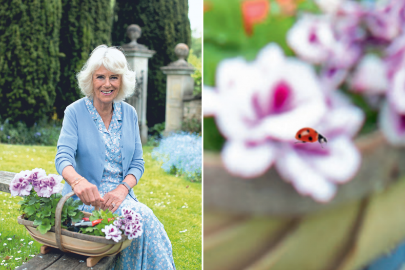 Duchess of Cornwall Ladybird Easter Egg Blanket