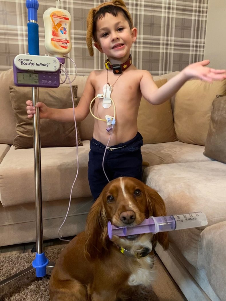 Criança autista com cão de assistência.