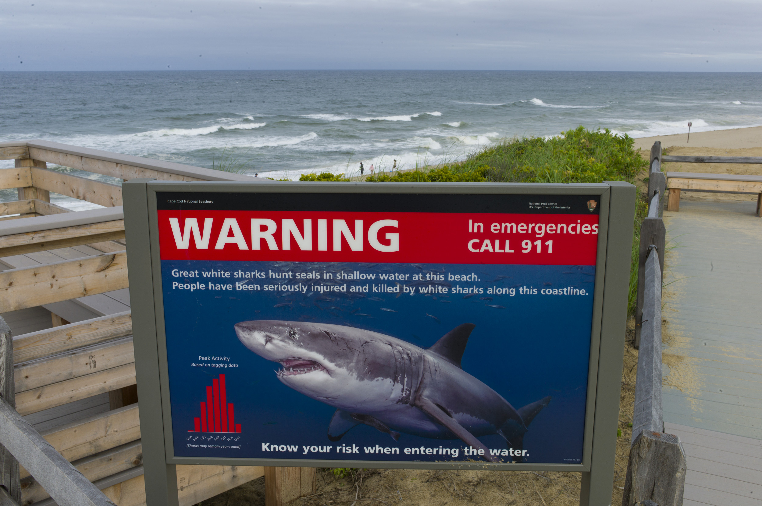 Shark Attacks Surfer Near Florida Beach Officials Say