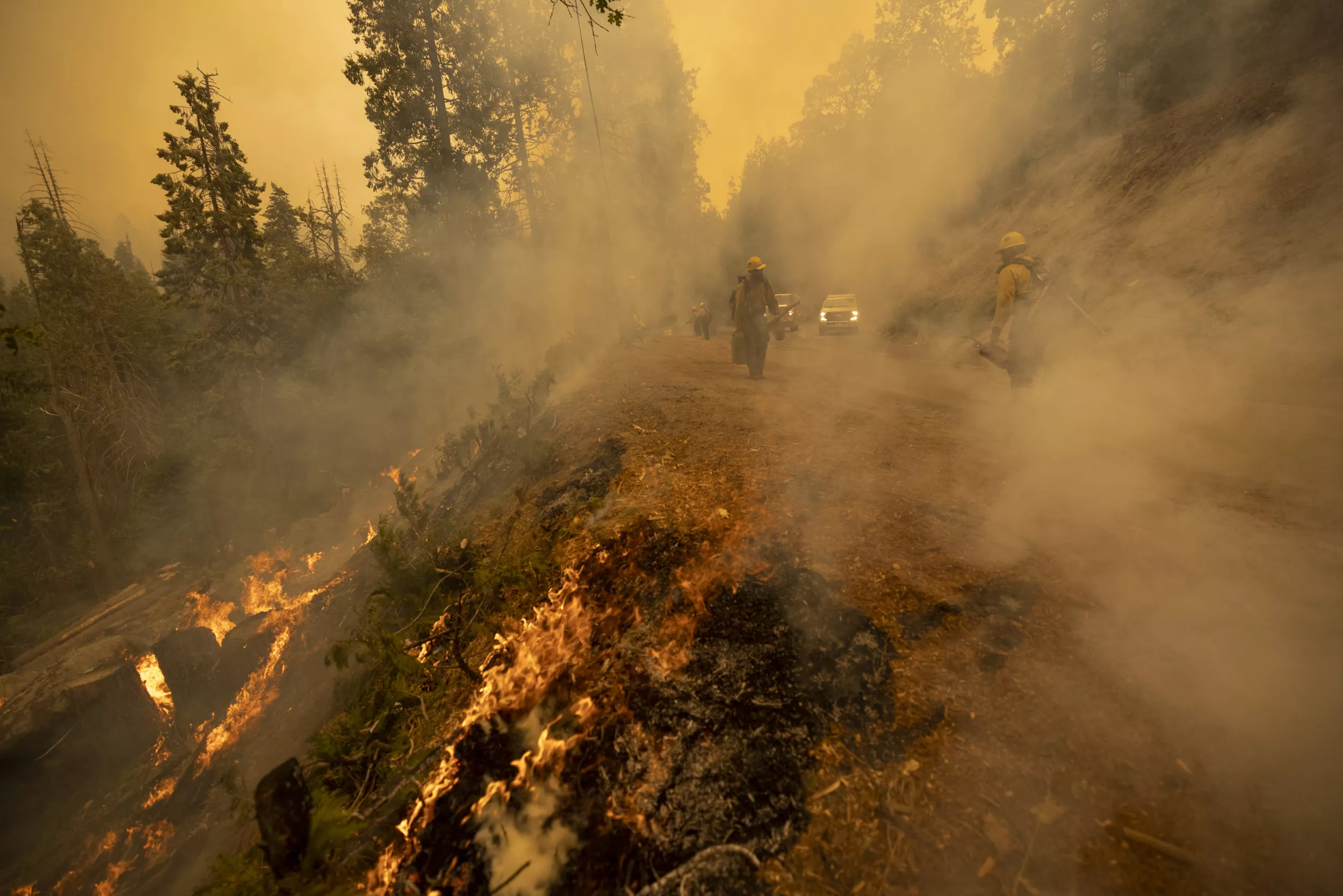 California Fire Map, Update as Electra Blaze Rapidly Spreads Amador County - Vimarsana News