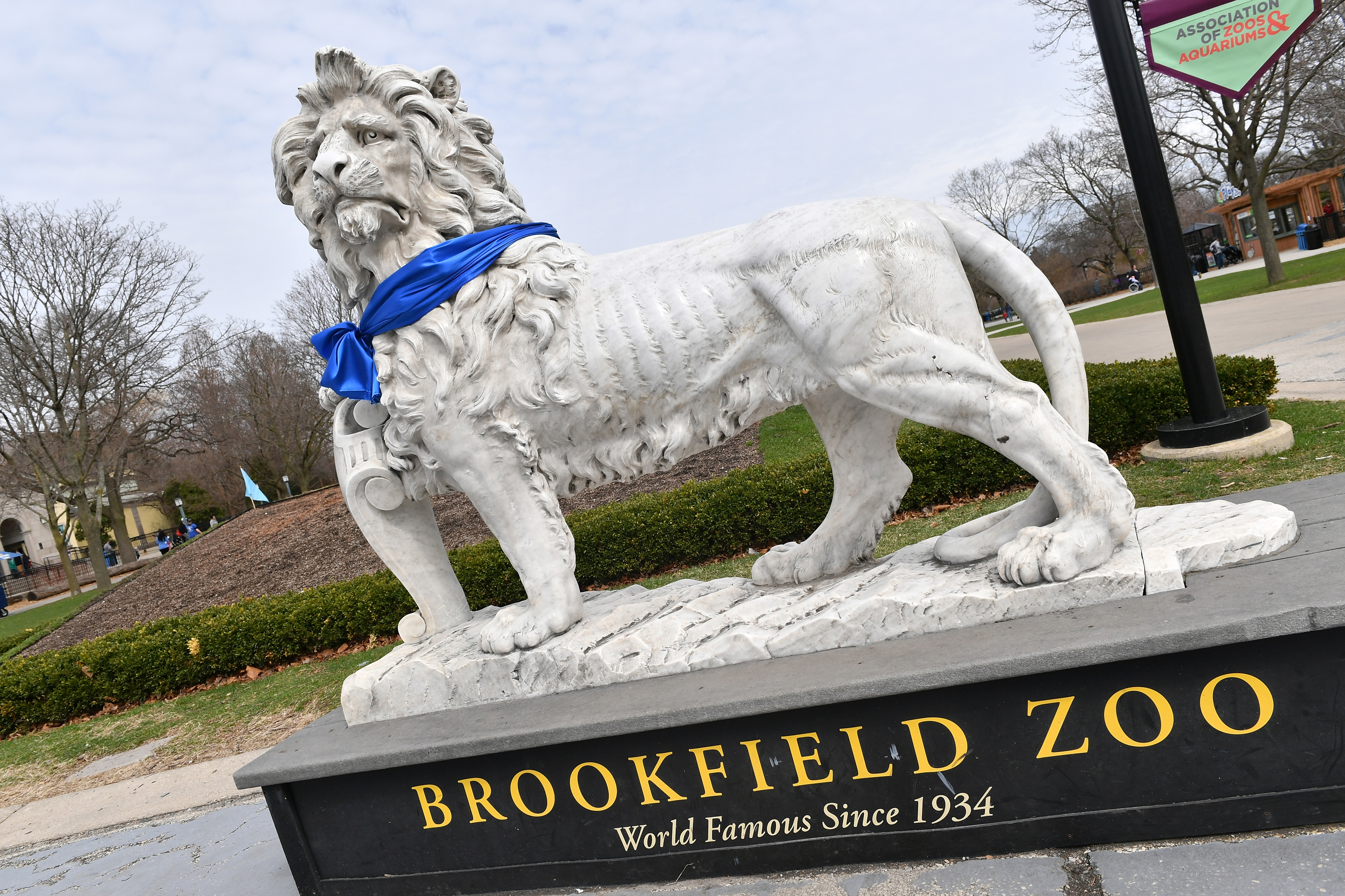 Bear down! Brookfield Zoo celebrates the start of the Chicago Bears season  - CBS Chicago