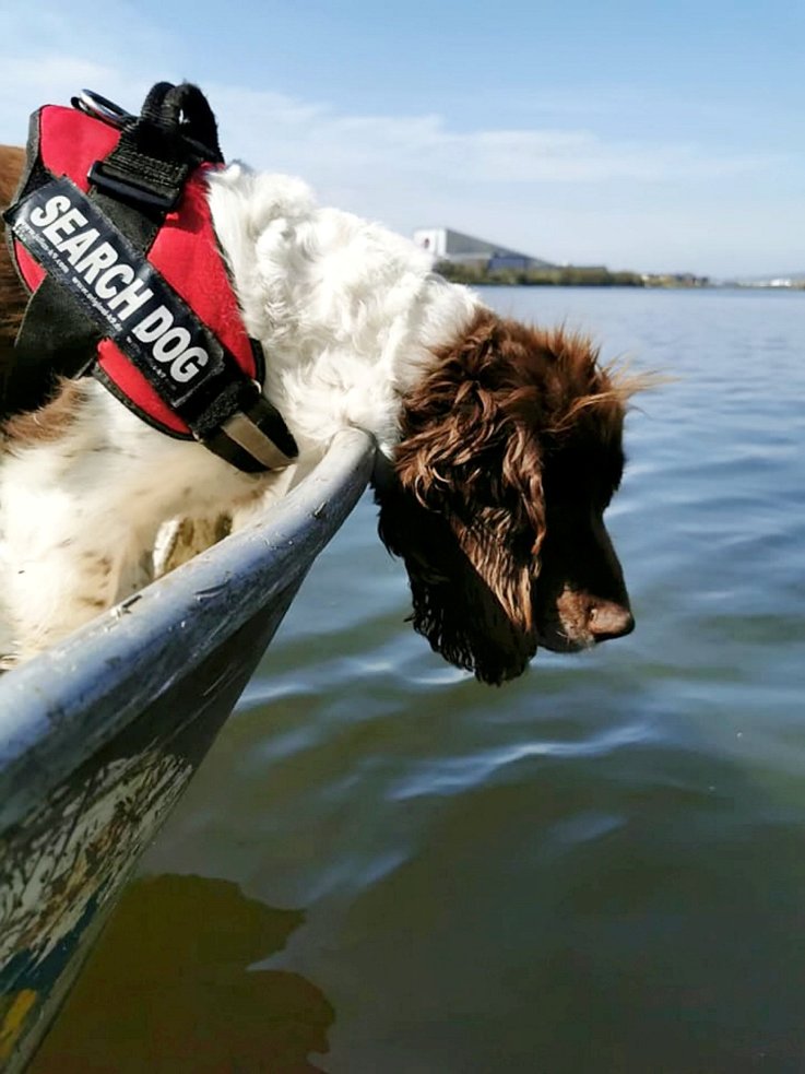 Barra underwater sniffer dog retires