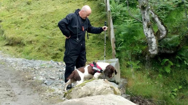 Barra underwater sniffer dog retires