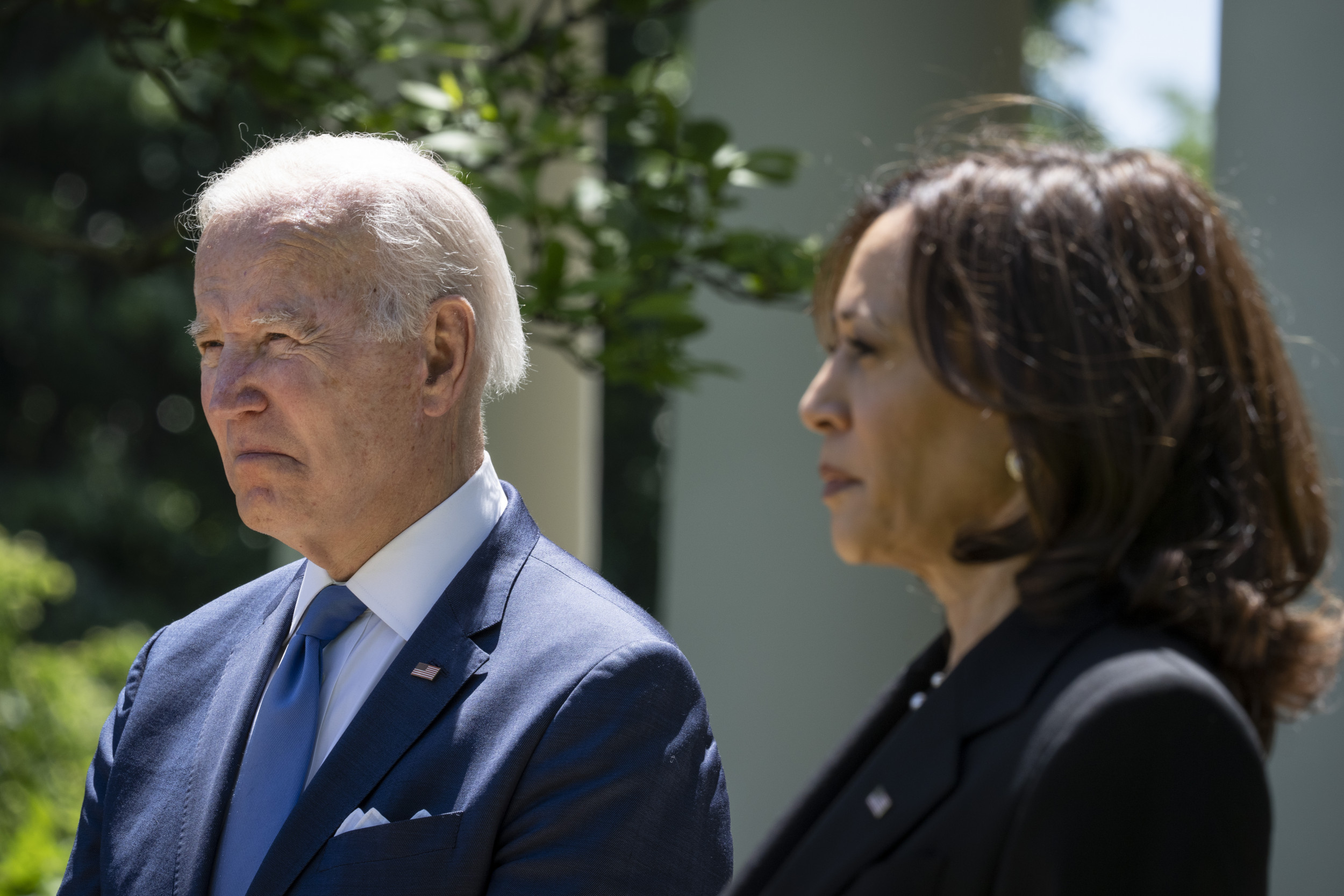 Sorry, Democrats: We're Stuck With Joe and Kamala | Opinion