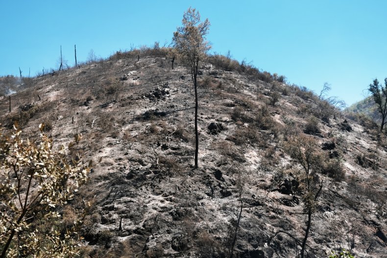 California wildfire aftermath
