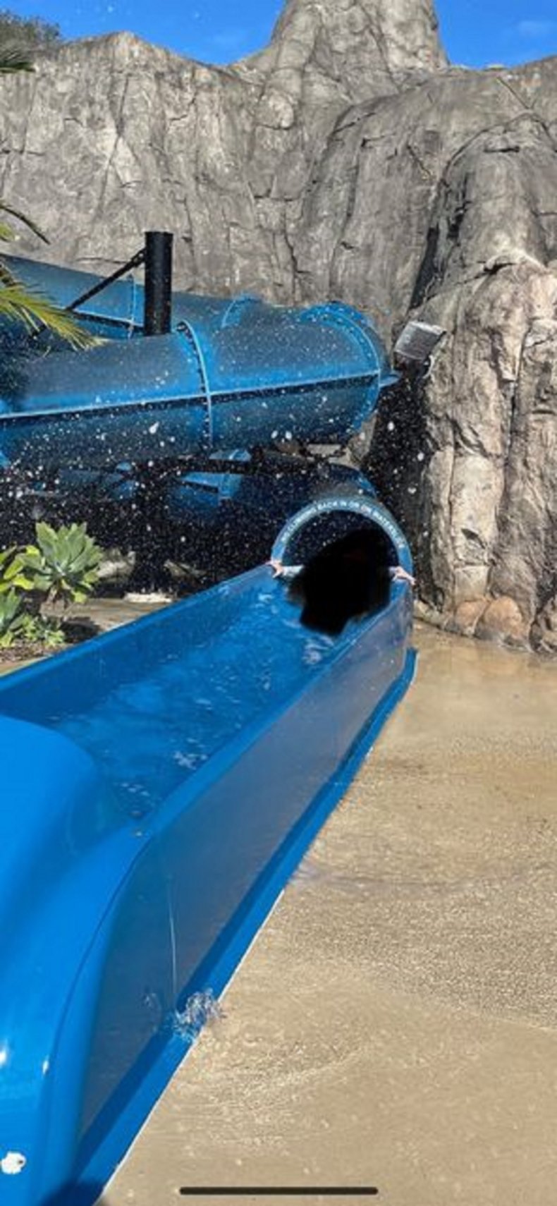 Photo of the waterslide.