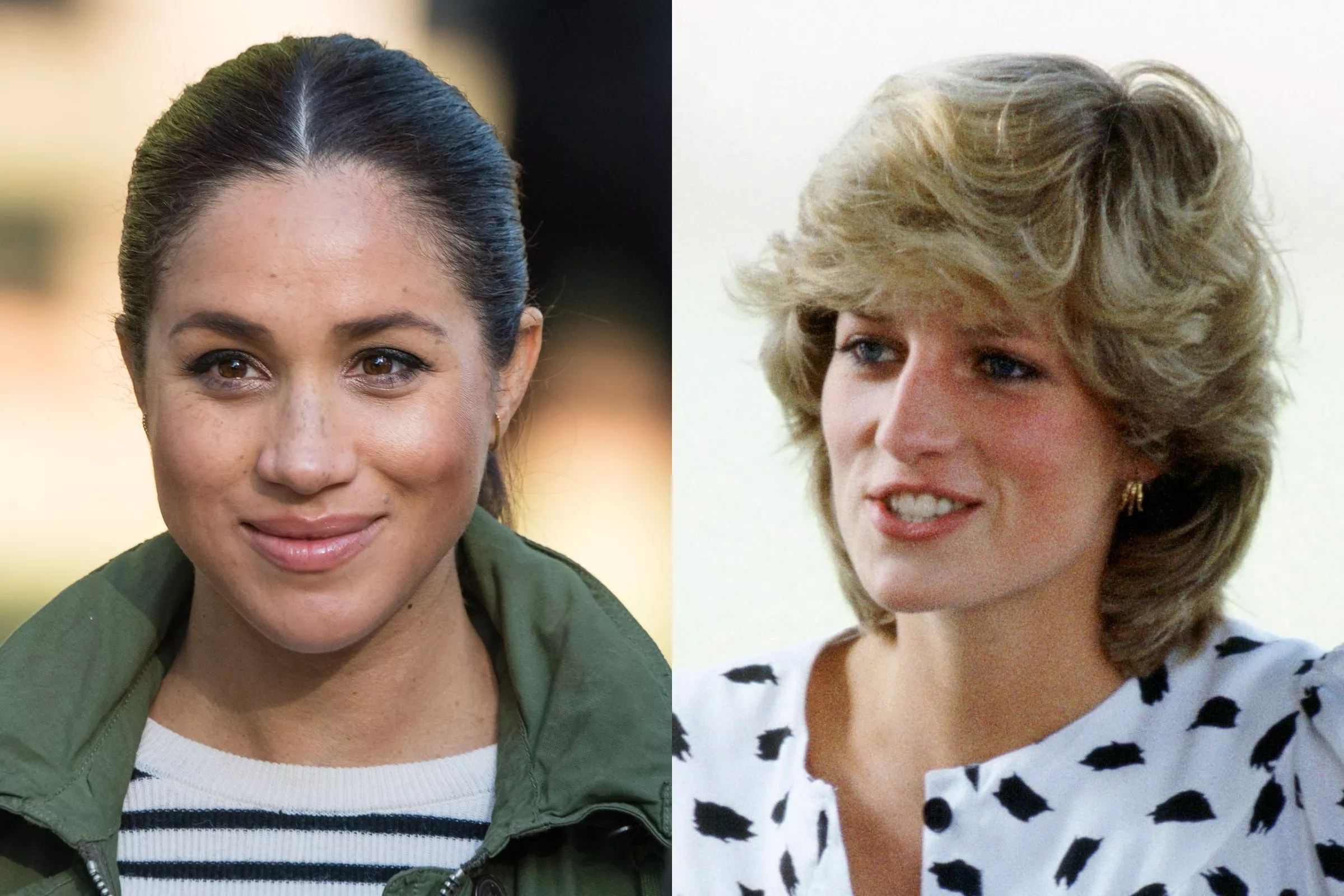 Princess Diana Supporters Who Are Surprisingly Willing to Criticize Meghan - Vimarsana News