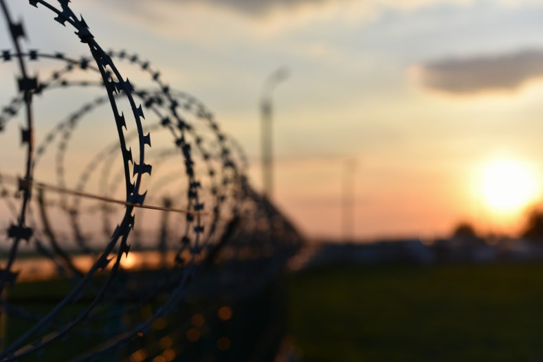 Barbed wire stock photo