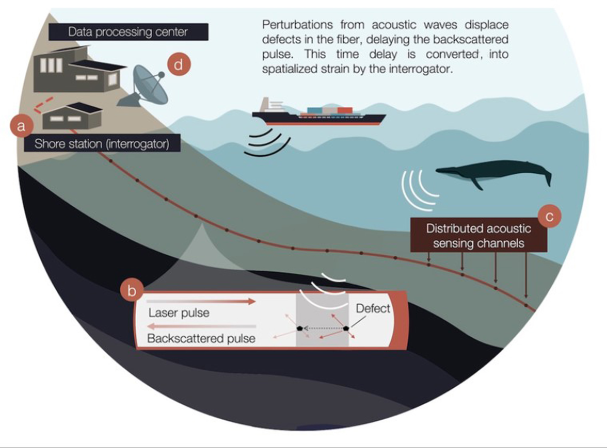 watch-how-scientists-track-ocean-giants-trendradars-uk