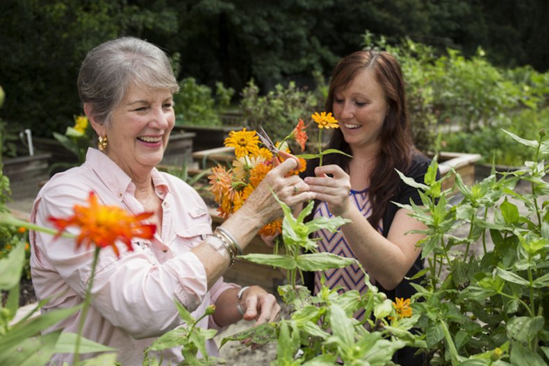 Gardening can impact mood, study says