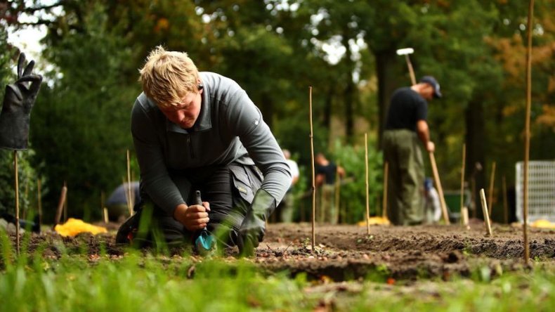 Gardener works at Keukenhof Gardens