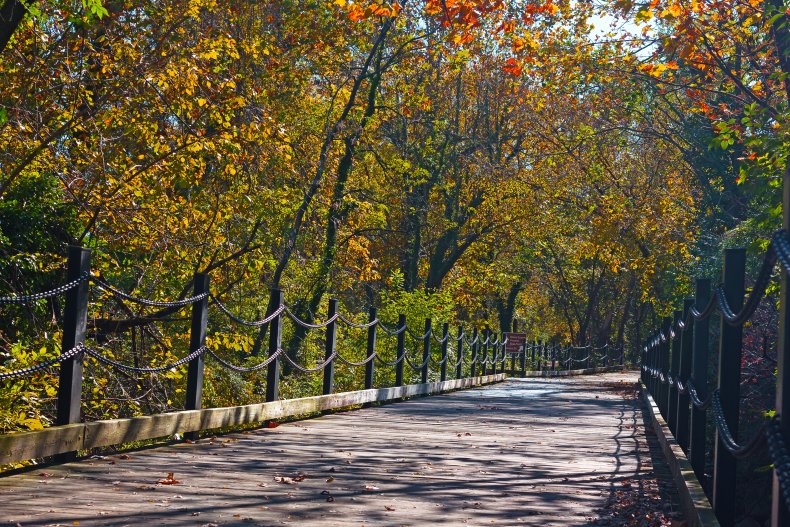 A pedestrian/bike trail in Arlington, Virginia.