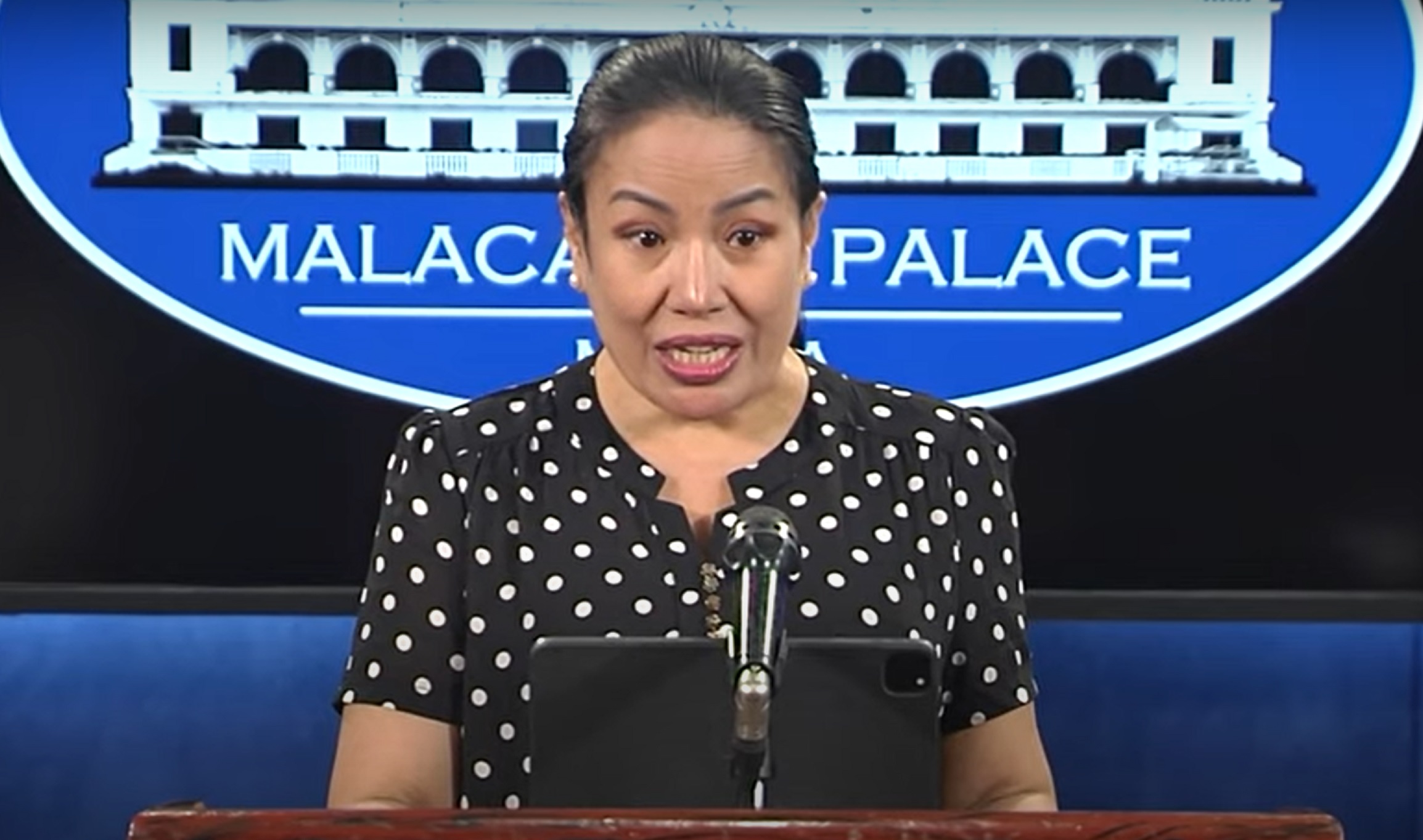 Aide Falls to His Death Inside Presidential Palace