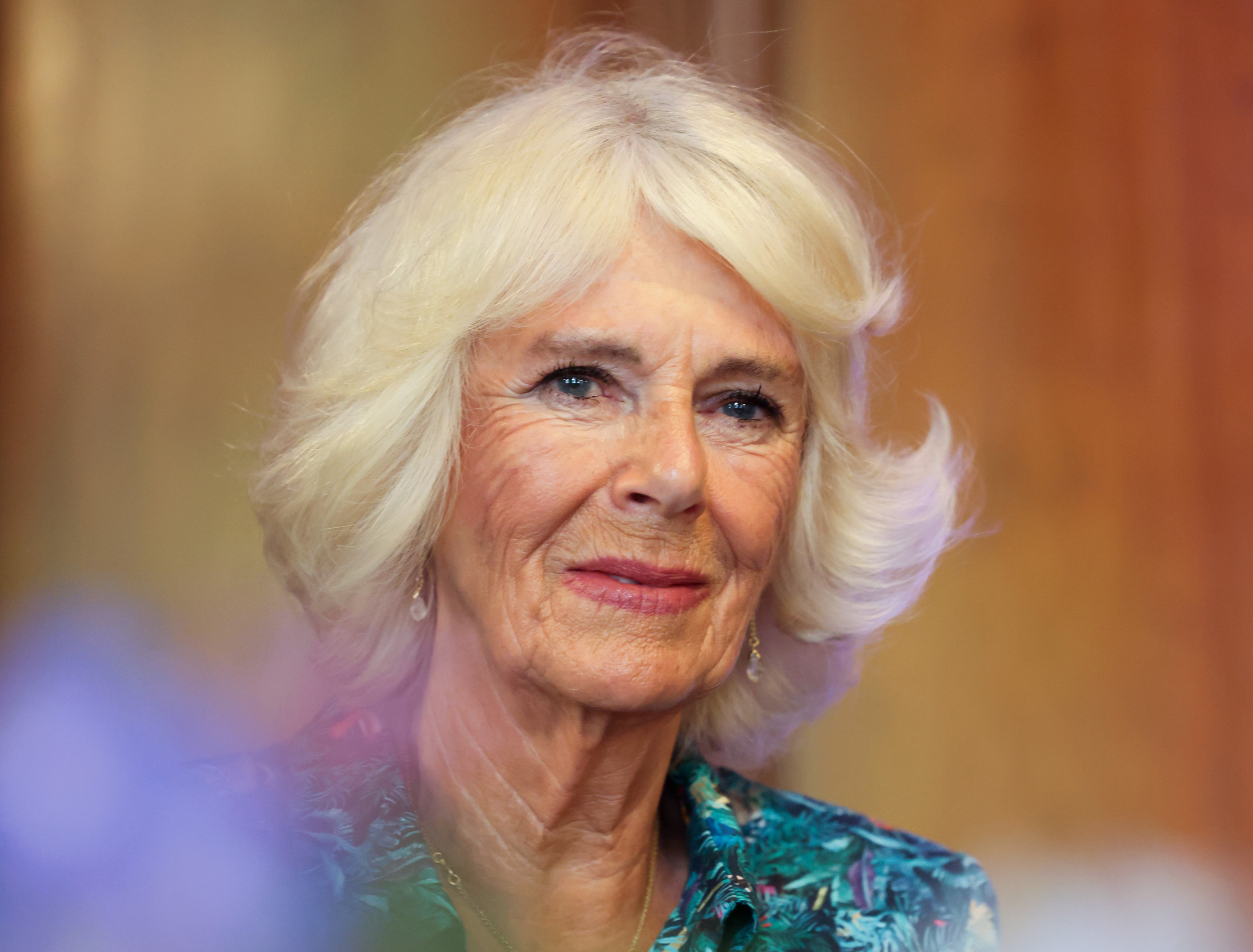 Camilla, the Royal Family's Surprising Best Weapon | Opinion