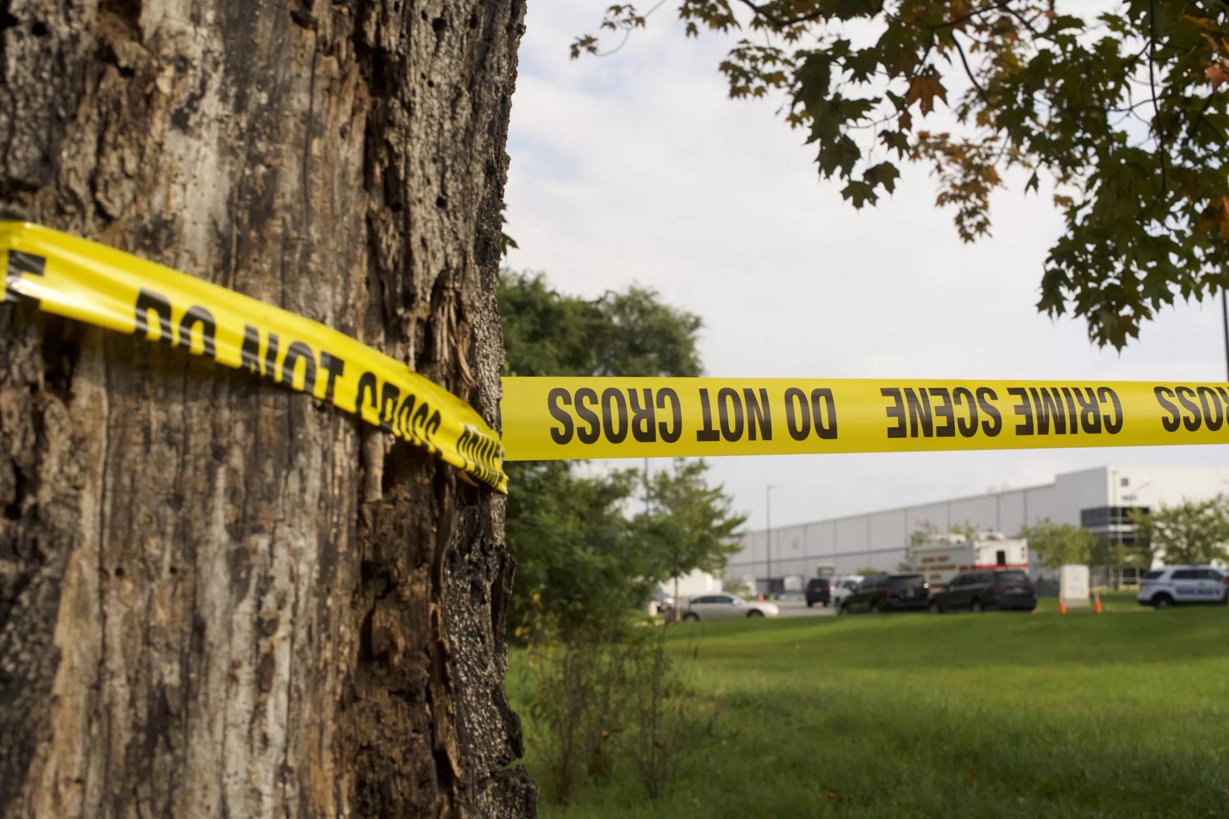 Father Shot Dead While Playing Pokémon Go With 7-Year-Old - Vimarsana News