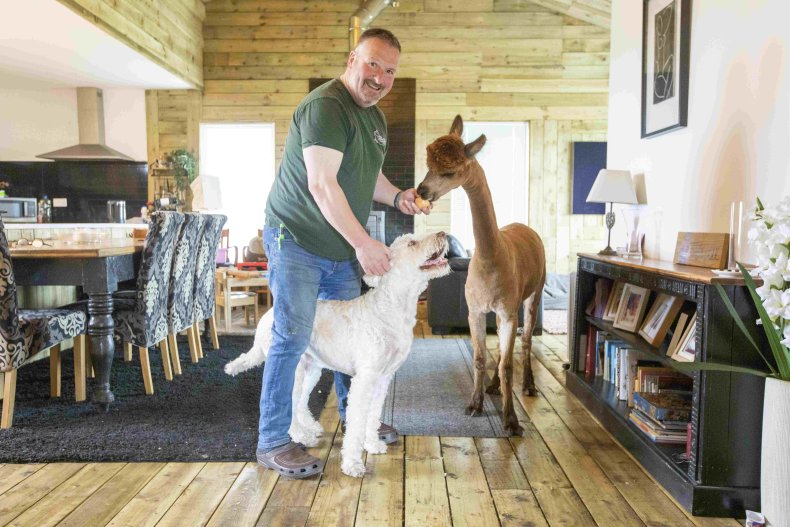 Annie the alpaca with owner Dannie Burns