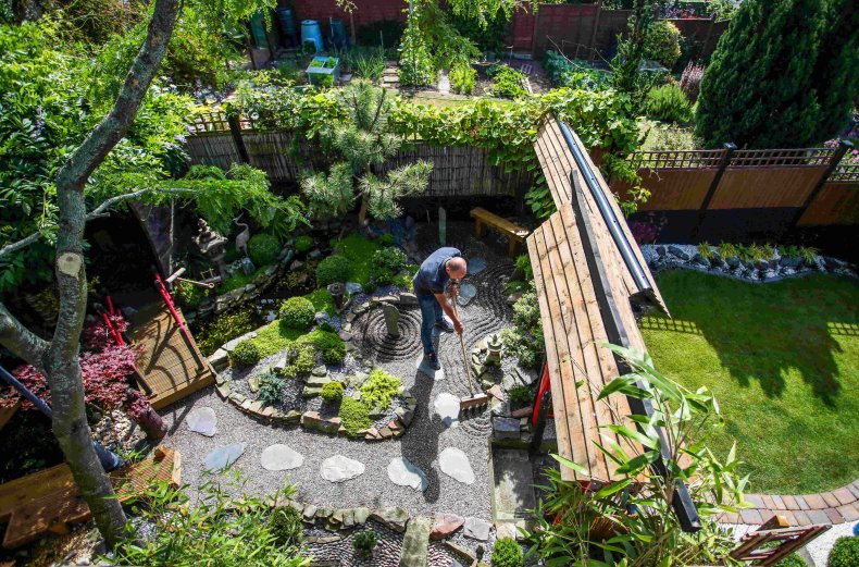 Martin Fitton's yard becomes Japanese garden