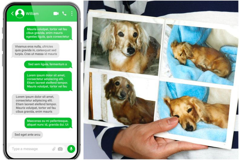 File photo of texts and dog photos.