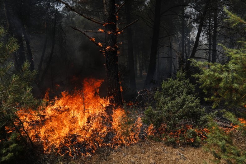 A forest fire broke out in Avila, Spain.